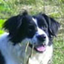 Thatch was adopted in August, 2004